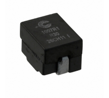 FP1007R1-R30-R छवि