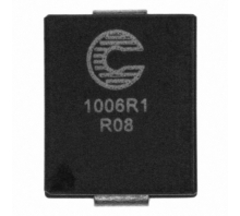 FP1006R1-R08-R छवि